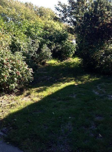 Ferienwohnung Holst * Braderup (Sylt)